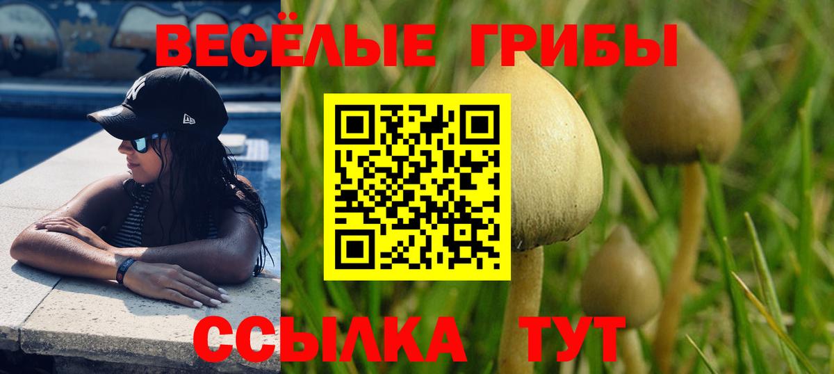 Псилоцибиновые грибы мухоморы Асбест